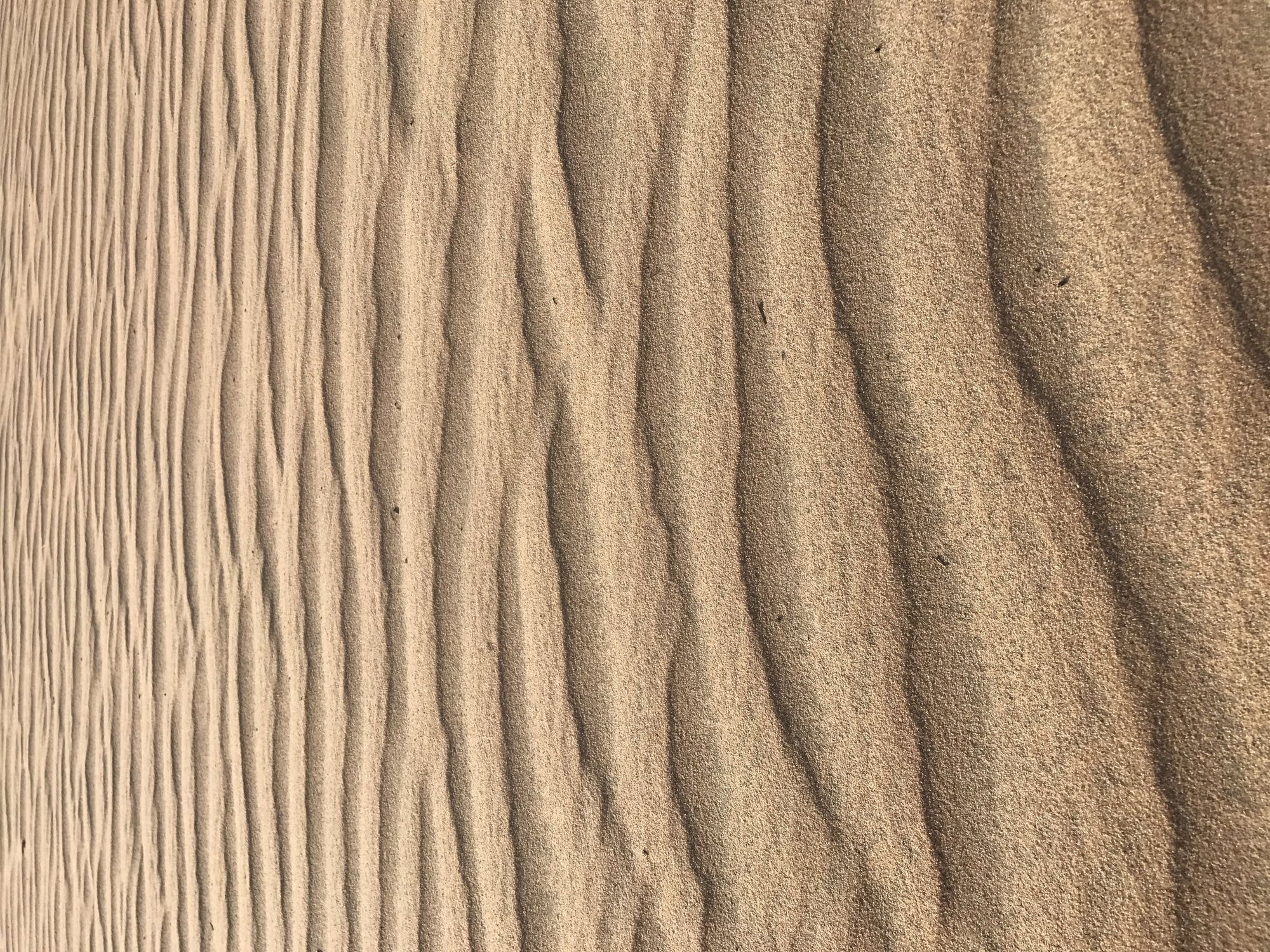 Close view of wind-shaped sand ripples in Al-Mutlaa Desert