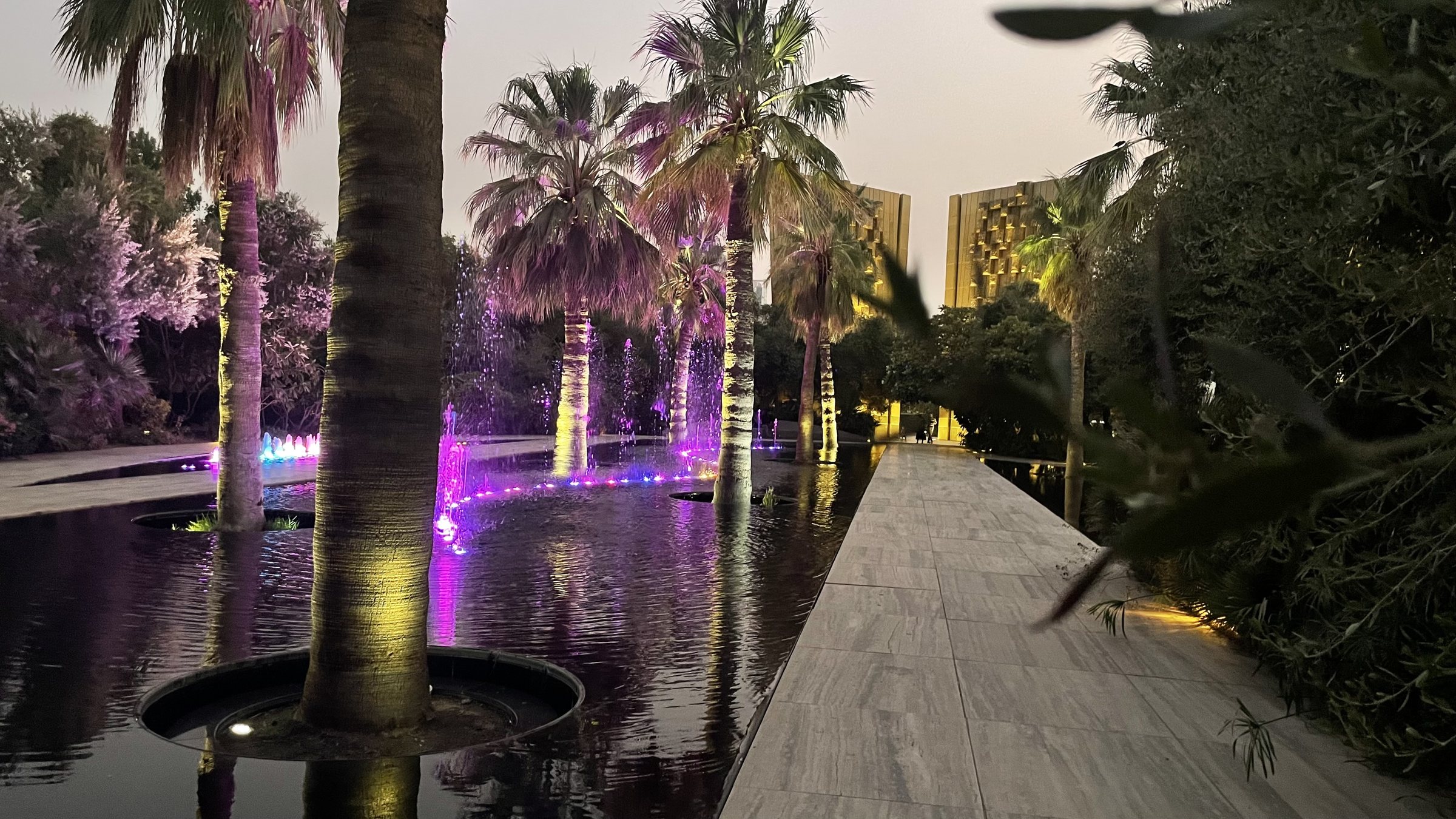Fountains and palms illuminated in Al Shaheed Park