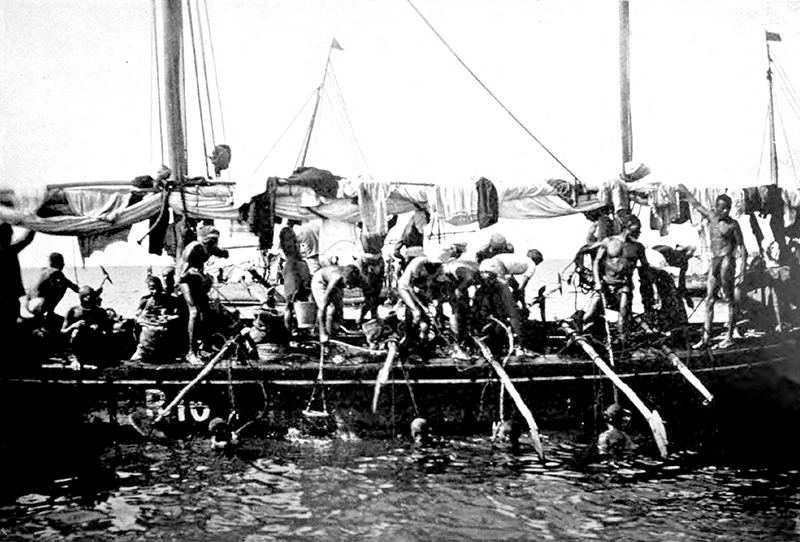 Historic illustration of pearl divers at work in the Gulf, published in 1908